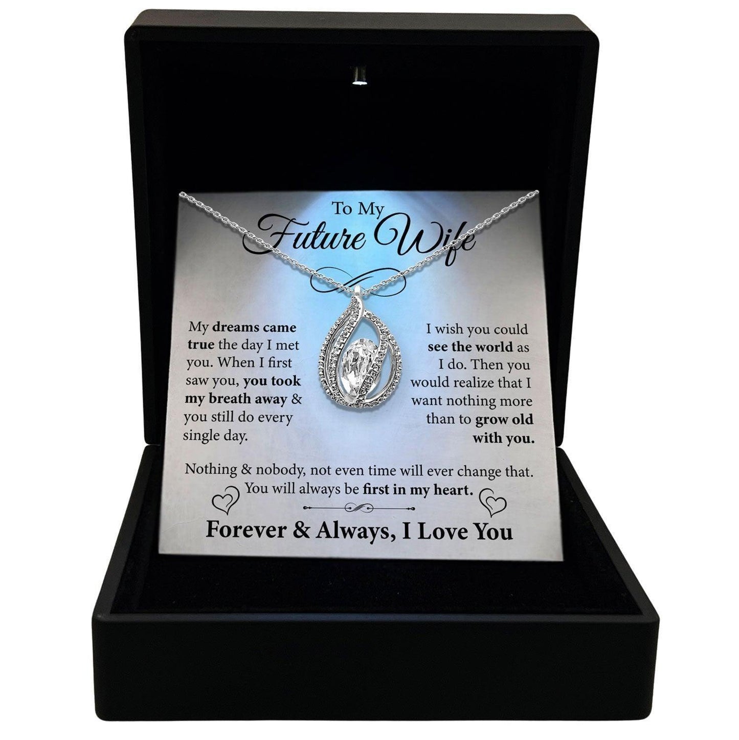 AllGifting, Women's Necklace, Orbital Birdcage, Future Wife Gift Sterling Silver Birdcage Pendant Jewelry, Card1