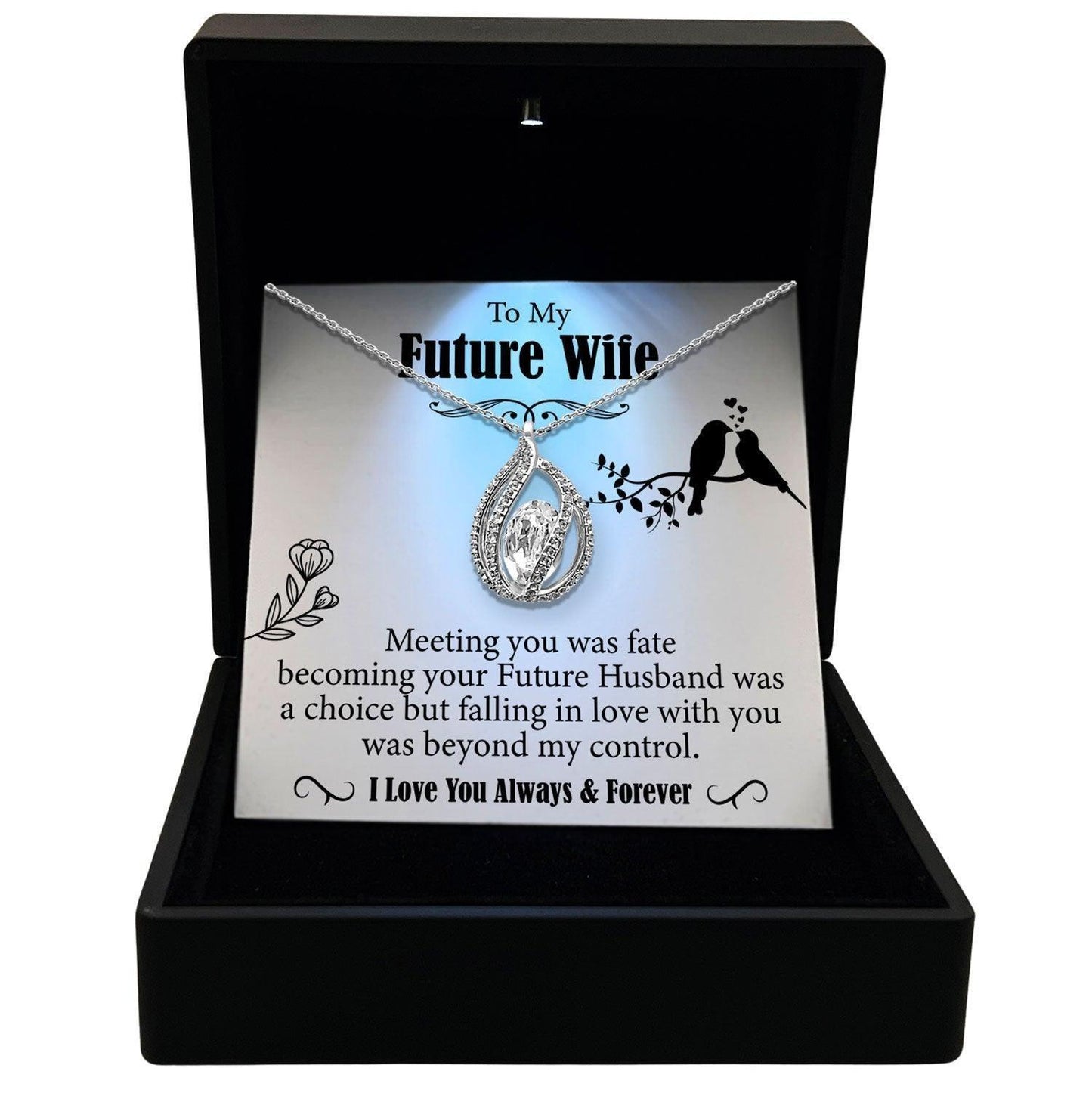 AllGifting, Women's Necklace, Orbital Birdcage, Future Wife Gift Sterling Silver Birdcage Pendant Jewelry, Card4
