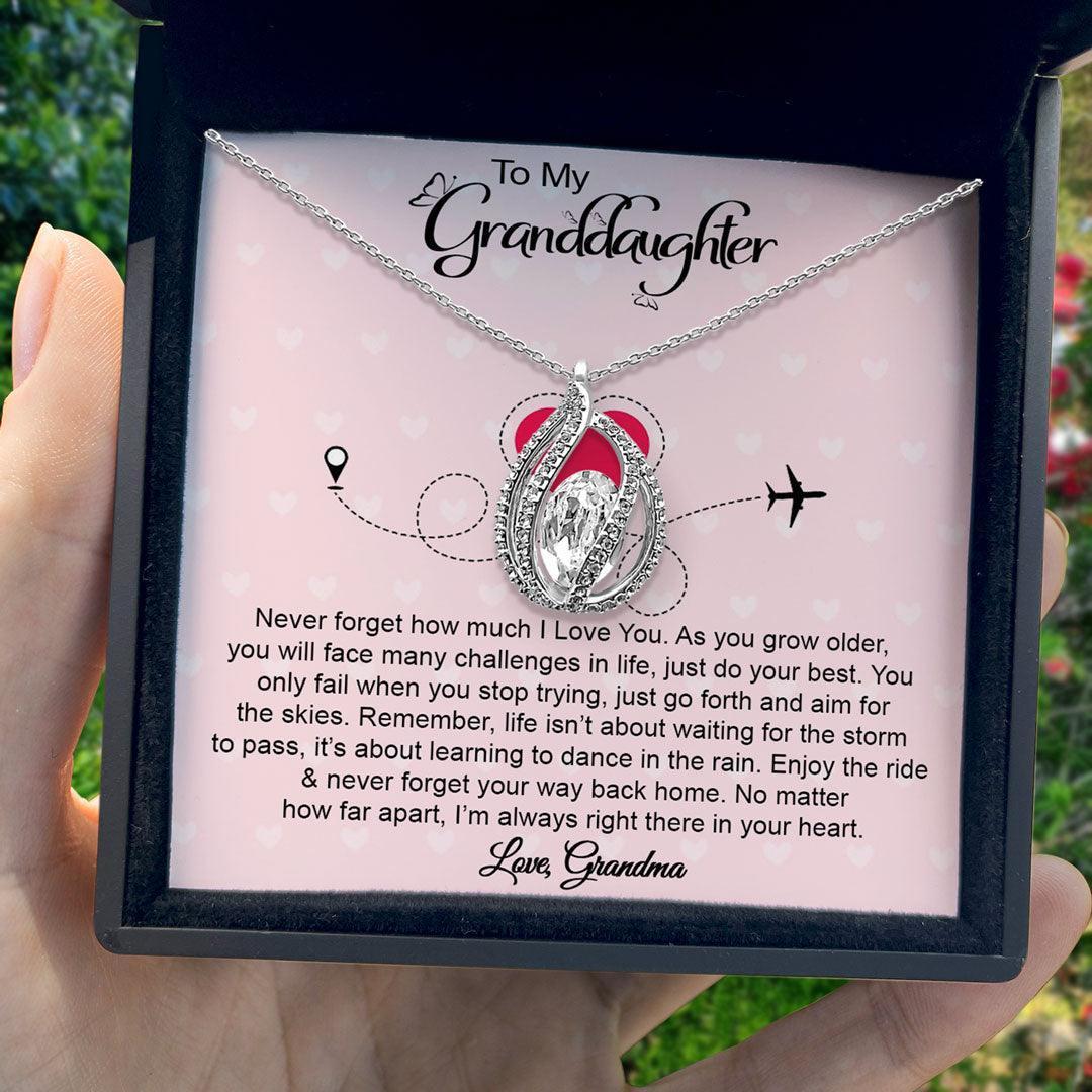 AllGifting, Birdcage Necklace For Women, Granddaughter Gift Sterling Silver Birdcage Pendant Jewelry, Card6