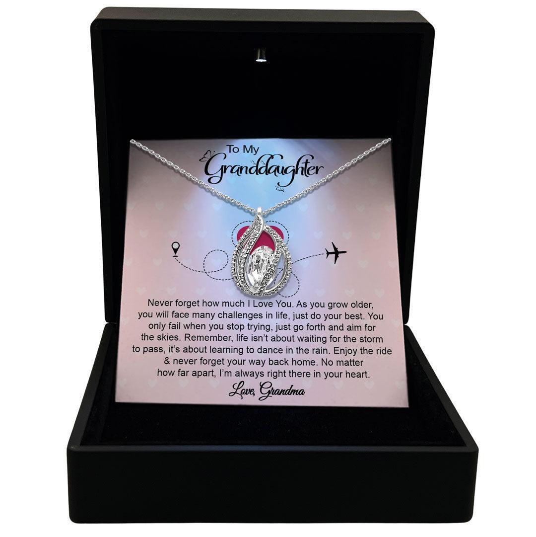 AllGifting, Birdcage Necklace For Women, Granddaughter Gift Sterling Silver Birdcage Pendant Jewelry, Card6