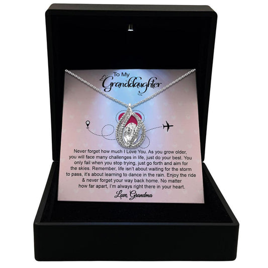 AllGifting, Women's Necklace, Orbital Birdcage, Granddaughter Gift Sterling Silver Birdcage Pendant Jewelry, Card6