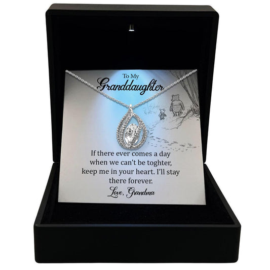 AllGifting, Women's Necklace, Orbital Birdcage, Granddaughter Gift Sterling Silver Birdcage Pendant Jewelry, Card7