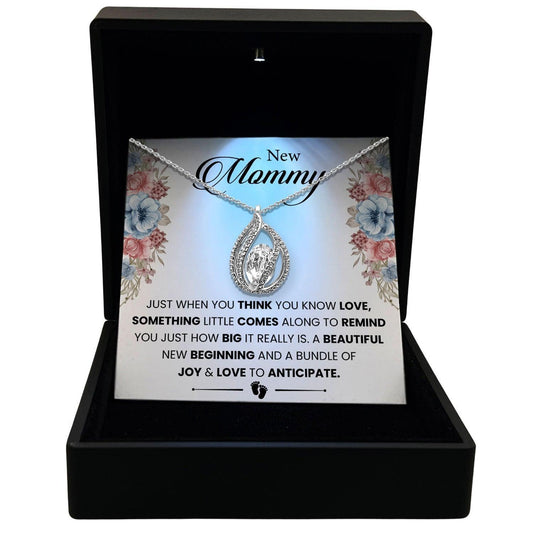 AllGifting, Women's Necklace, Orbital Birdcage, Mom Gift Sterling Silver Birdcage Pendant Jewelry, Card25