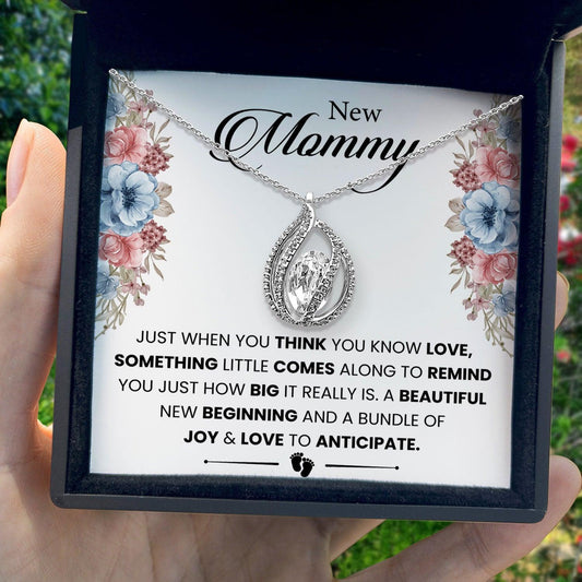 AllGifting, Birdcage Necklace For Women, Mom Gift Sterling Silver Birdcage Pendant Jewelry, Card25