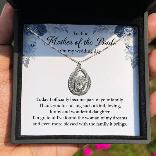 AllGifting, Birdcage Necklace For Women,  Sterling Silver Birdcage Pendant Jewelry, Card31