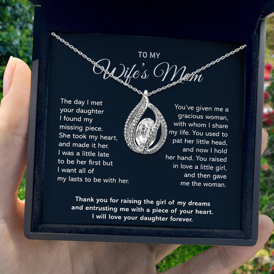 AllGifting, Birdcage Necklace For Women, Wife's Mom Gift Sterling Silver Birdcage Pendant Jewelry, Card20