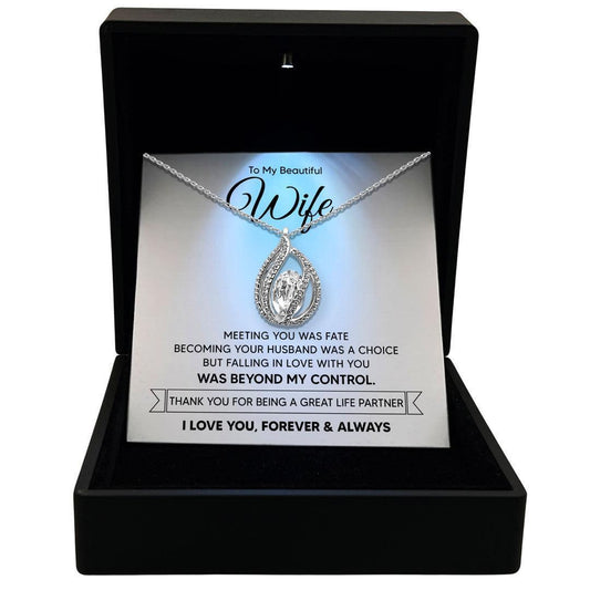 AllGifting, Women's Necklace, Orbital Birdcage, Wife Gift Sterling Silver Birdcage Pendant Jewelry, Card3